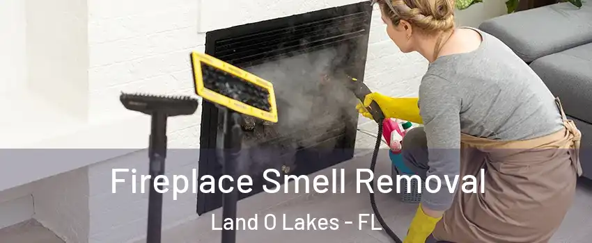  Fireplace Smell Removal Land O Lakes - FL