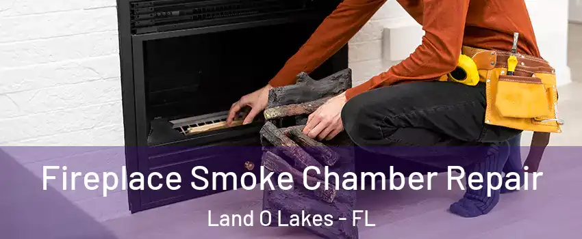  Fireplace Smoke Chamber Repair Land O Lakes - FL