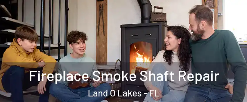  Fireplace Smoke Shaft Repair Land O Lakes - FL