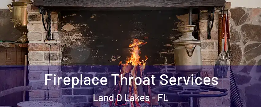  Fireplace Throat Services Land O Lakes - FL