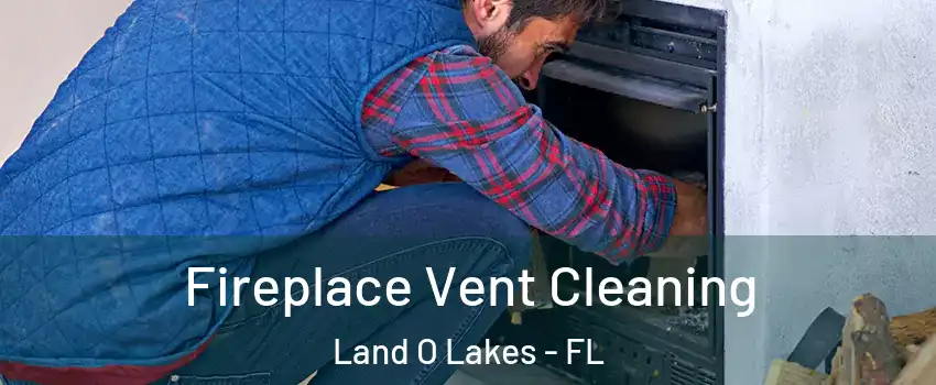  Fireplace Vent Cleaning Land O Lakes - FL