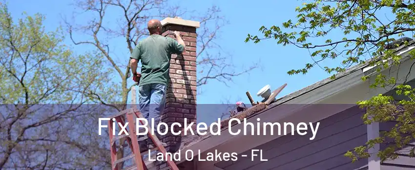  Fix Blocked Chimney Land O Lakes - FL