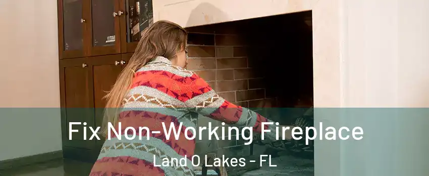  Fix Non-Working Fireplace Land O Lakes - FL