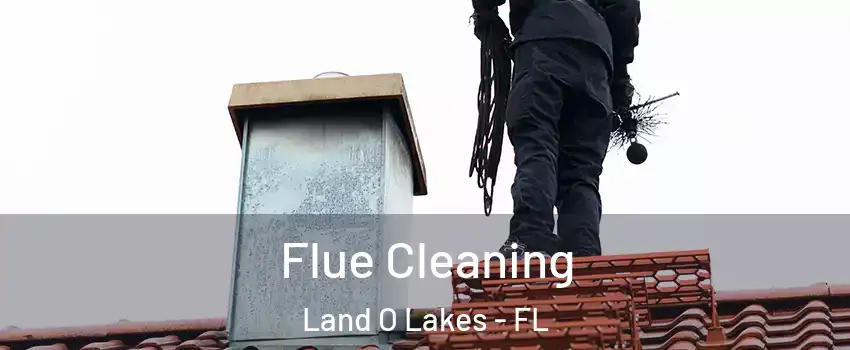  Flue Cleaning Land O Lakes - FL