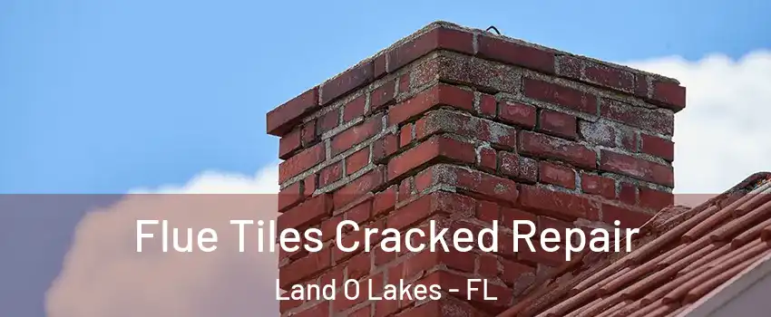  Flue Tiles Cracked Repair Land O Lakes - FL