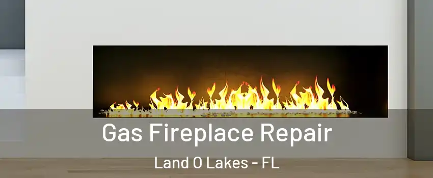 Gas Fireplace Repair Land O Lakes - FL