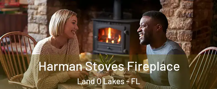  Harman Stoves Fireplace Land O Lakes - FL
