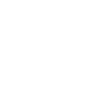Professional Chimney Flue Installation in Land O Lakes, Florida