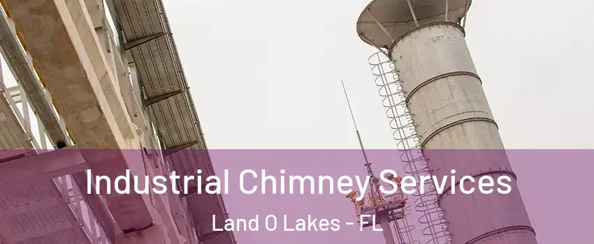  Industrial Chimney Services Land O Lakes - FL