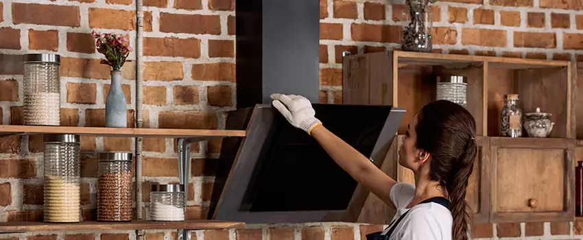 Chimney Installation in Land O Lakes, FL