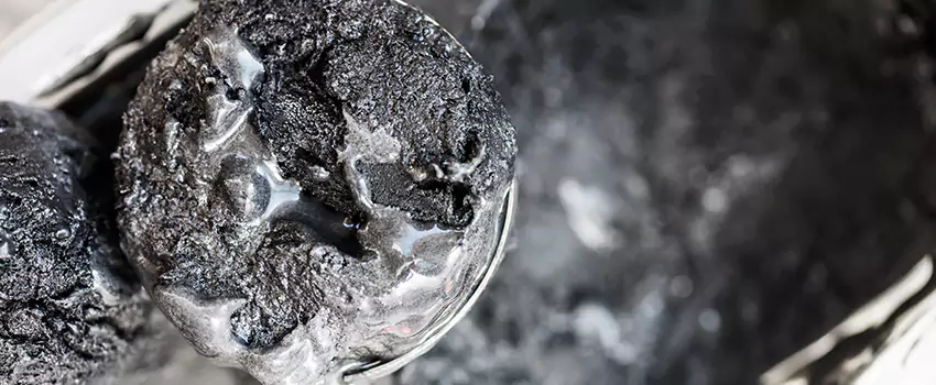 Clogged Dryer Vent Lint Cleaning in Land O Lakes, Florida