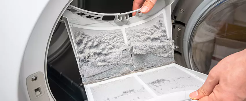 Best Dryer Lint Removal Company in Land O Lakes, Florida