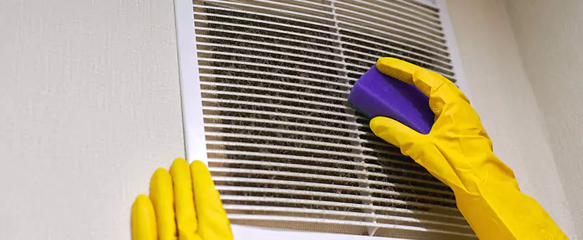 Vent Cleaning Company in Land O Lakes, FL