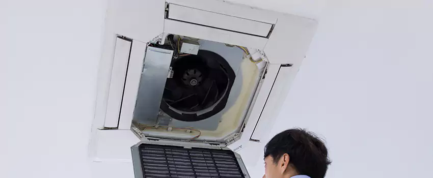 Benefits of Professional Air Duct Cleaning in Land O Lakes, Florida