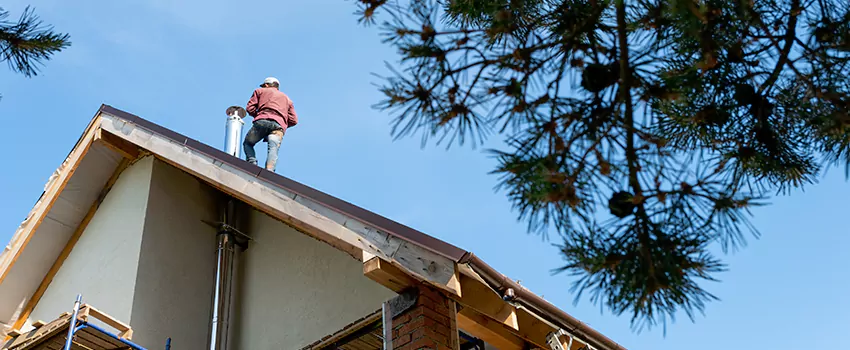 Birds Removal Contractors from Chimney in Land O Lakes, FL