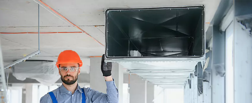 Clogged Air Duct Cleaning and Sanitizing in Land O Lakes, FL