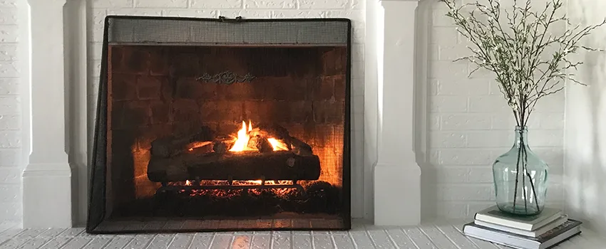 Cost-Effective Fireplace Mantel Inspection And Maintenance in Land O Lakes, FL