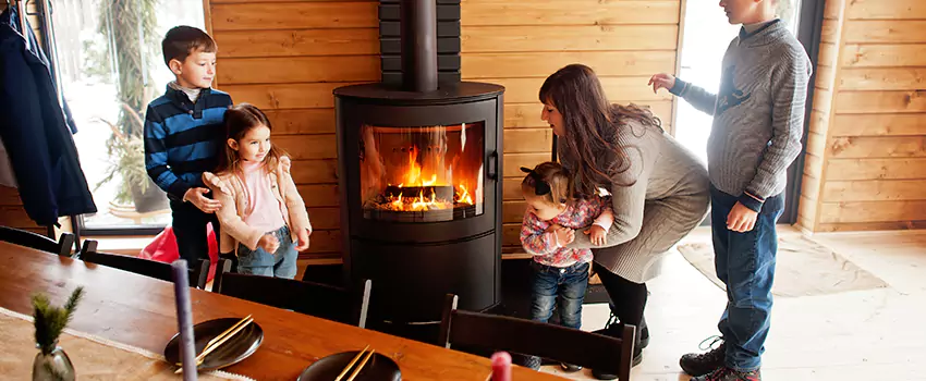 Jøtul Gas Fireplace Inspection Service in Land O Lakes, Florida