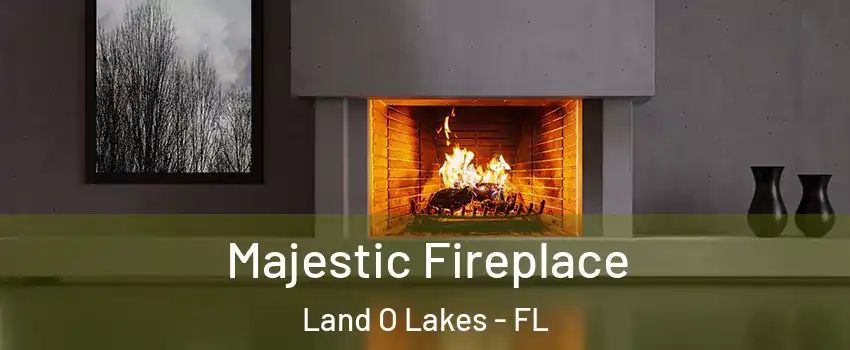  Majestic Fireplace Land O Lakes - FL