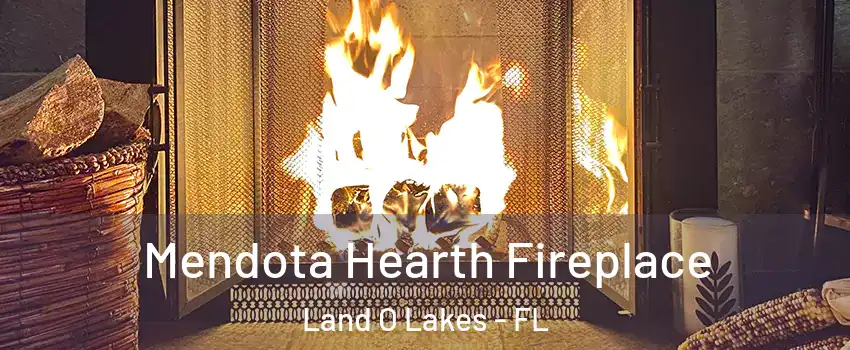  Mendota Hearth Fireplace Land O Lakes - FL