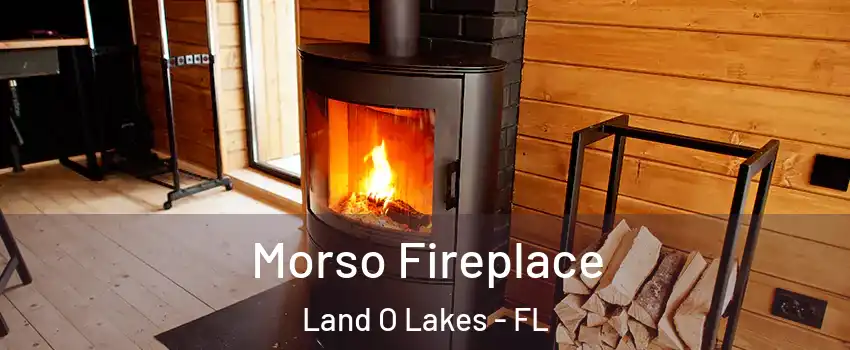  Morso Fireplace Land O Lakes - FL