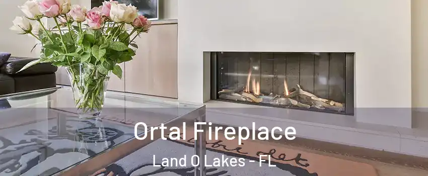  Ortal Fireplace Land O Lakes - FL