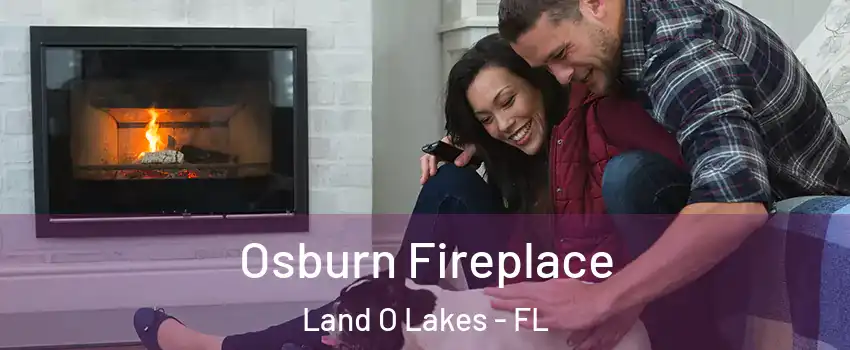  Osburn Fireplace Land O Lakes - FL