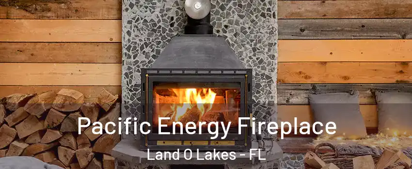  Pacific Energy Fireplace Land O Lakes - FL