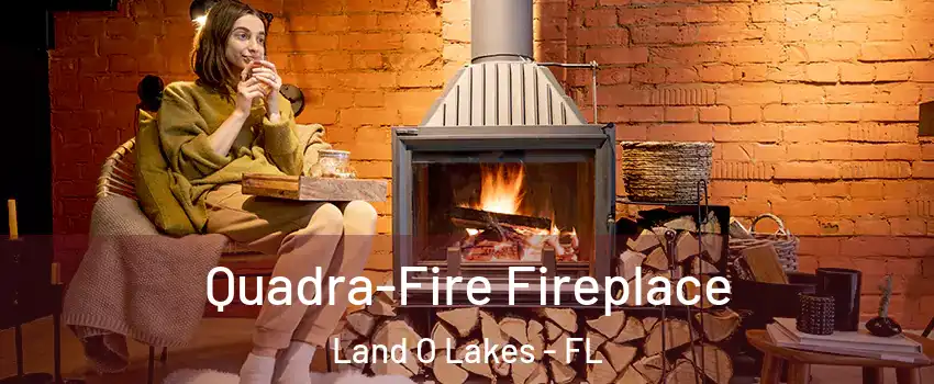  Quadra-Fire Fireplace Land O Lakes - FL