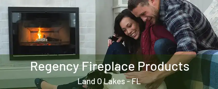  Regency Fireplace Products Land O Lakes - FL