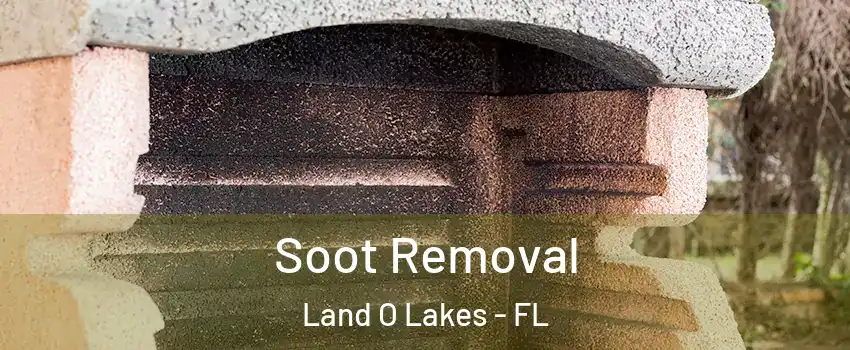  Soot Removal Land O Lakes - FL