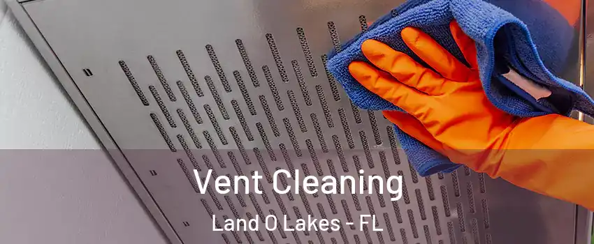  Vent Cleaning Land O Lakes - FL