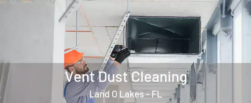  Vent Dust Cleaning Land O Lakes - FL