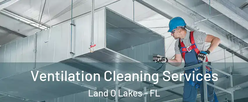  Ventilation Cleaning Services Land O Lakes - FL