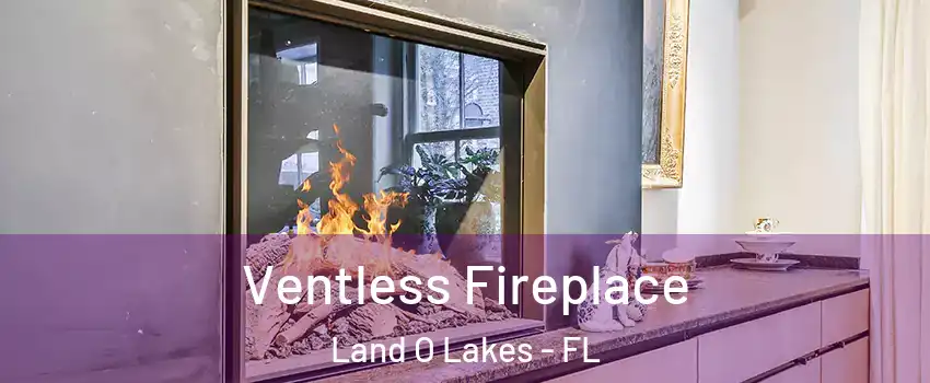  Ventless Fireplace Land O Lakes - FL