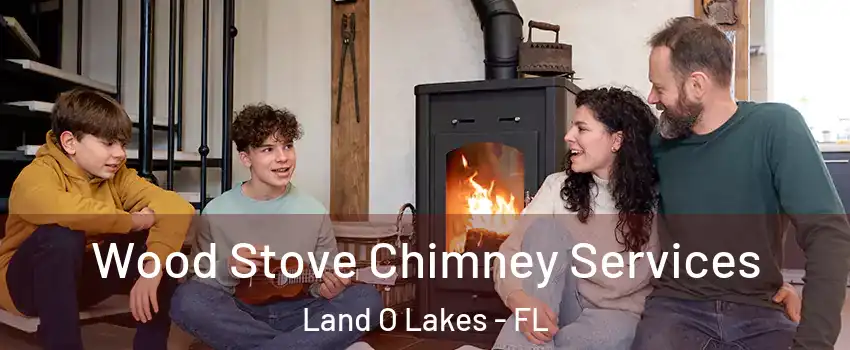  Wood Stove Chimney Services Land O Lakes - FL