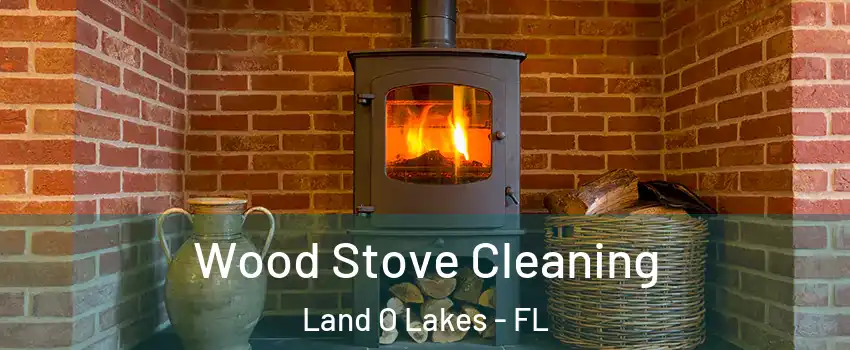  Wood Stove Cleaning Land O Lakes - FL